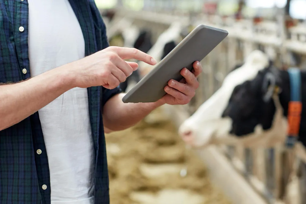 Dairy Order Management System